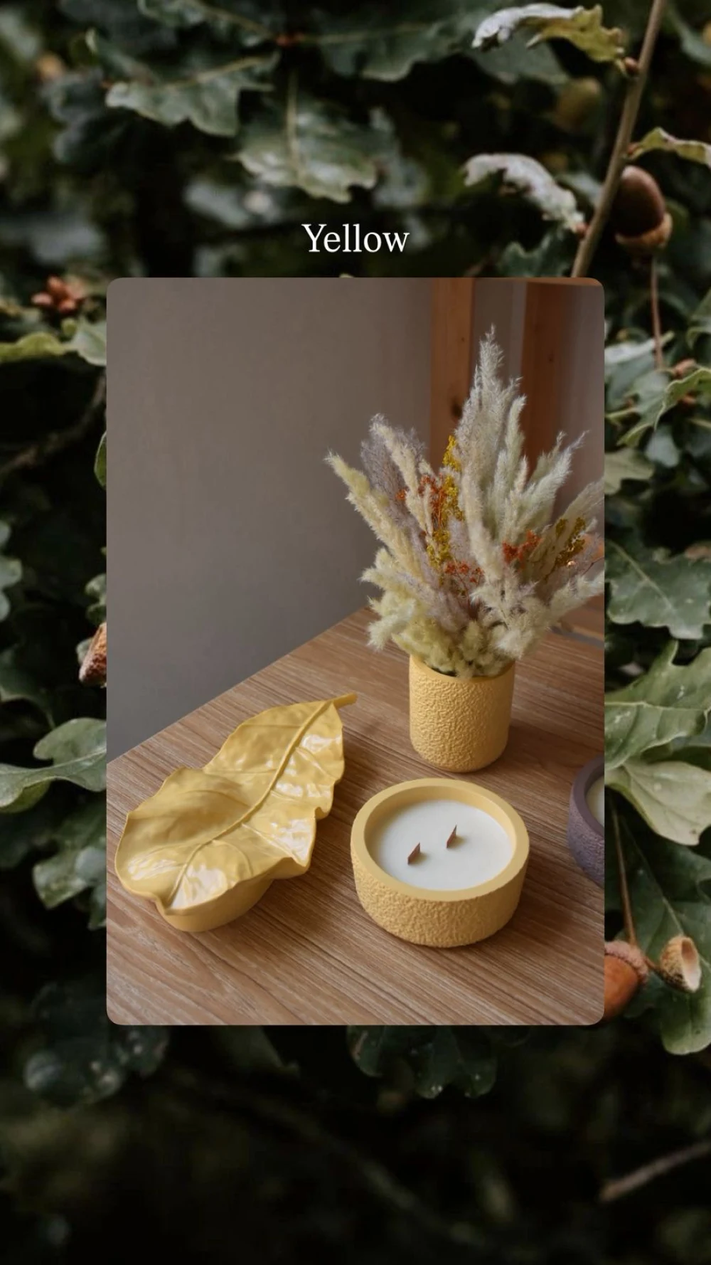 Autumn collection